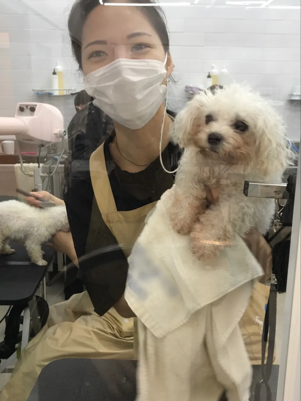 Animal Shelter Volunteering